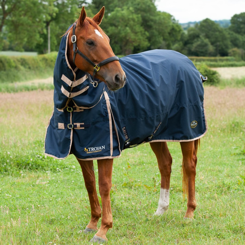 Gallop Trojan Combo 100gm Turnout Rug in Navy/Beige-1